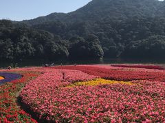 -广州市石门国家森林公园