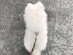 -成都民大动物医院