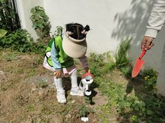 -重庆长寿碧桂园凤悦凤凰酒店