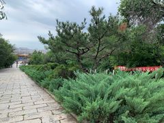 -府君山公园