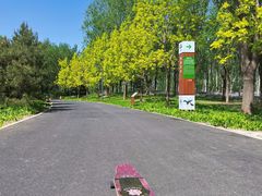 -东郊湿地公园