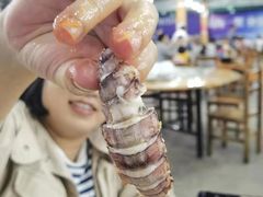 -明记海鲜大排档(巽寮湾店)