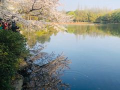 -苏堤停车场