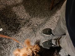 -喜洲吧·江畔老船厂·庭院餐厅(喜临院店)