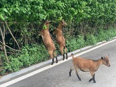 -三亚西岛海洋文化旅游区