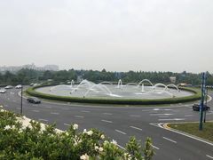 -迪士尼乐园停车场