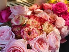 -云上千禾(水上店)