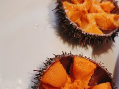 -常鲜楼常来尝鲜海胆馆(星海店)
