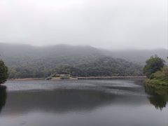 -桃花岭景区