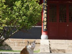 -碑林公园