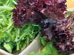 -素满香·全民食养自助(长宁龙之梦店)