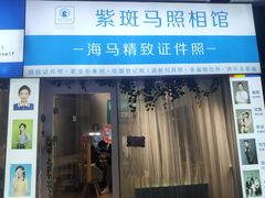 -紫斑马照相馆·生日写真·情侣写真·全家福(恒力城店)