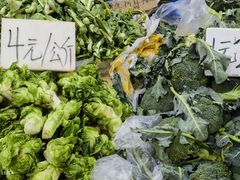 -五里多农博广场