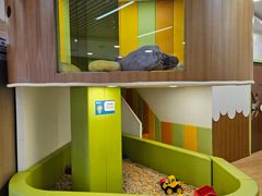 -婴智贝佳蒙特梭利早教托育中心(杨浦店)