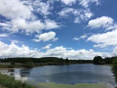 -塞罕坝国家级自然保护区