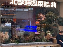 -北李妈妈菜·海肠捞饭(高新万达店)