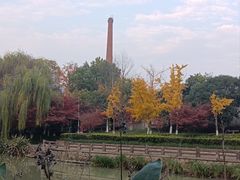 -运河游船(武林门码头)