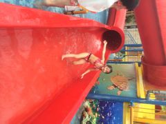 苏州乐园•水上世界-苏州乐园森林水世界