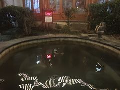 -夏津德百度假村温泉