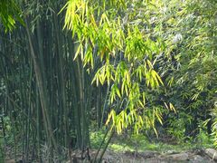 -华南国家植物园-售票处