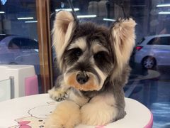 -FAELING PETS美天灵宠物(富力广场店)