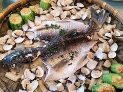 -陶缘一号·四季缘·老字号顺德菜·户外婚礼家宴(西滘店)