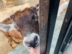 -石家庄市动物园