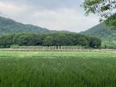 -八卦田遗址公园