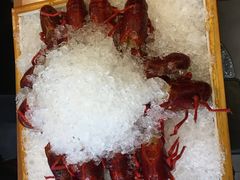 -旺小胖小龙虾