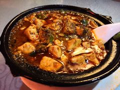 -陈麻婆豆腐总店