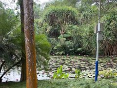 -中国科学院西双版纳热带植物园