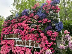 -武汉园博园(武汉自然博物馆)