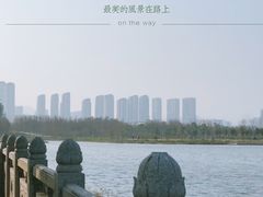 -三垟湿地