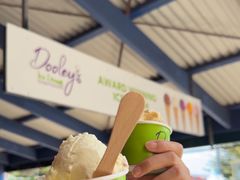 -Dooley's Premium Ice Cream