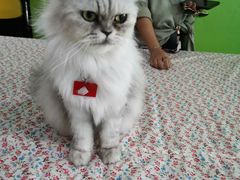 -东芭乐园