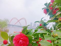 -艾溪湖湿地公园