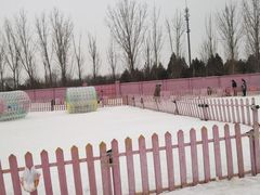 -青龙湖公园