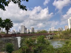 -金鸡岭桥头公园