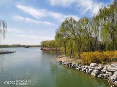 -大兴滨河森林公园