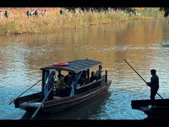 -溱湖国家湿地公园