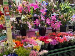 -三旗百汇商品城