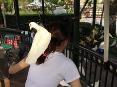 -国色天乡三期陆地乐园