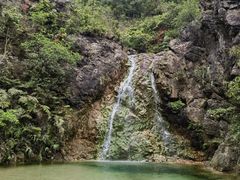 -南海湾森林生态园