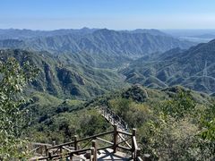 -大岭沟猕猴桃谷风景区