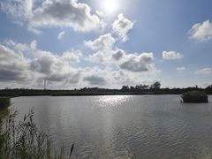 -盐城丹顶鹤湿地生态旅游区