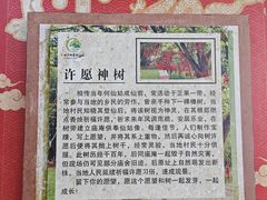 -广州白江湖森林公园