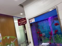 -雅悦齿科(顾村公园店)