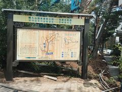 -帽儿山国家森林公园