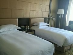 -合肥丰大国际大酒店