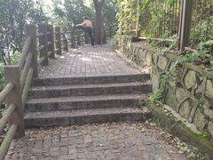 -紫金山山顶公园